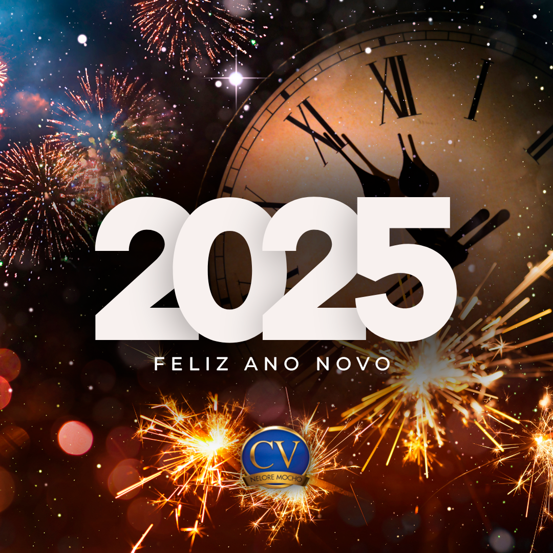 Feliz 2025 cv