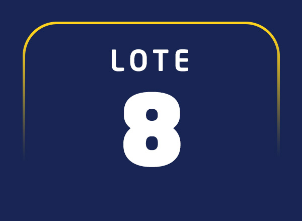 Lote 08