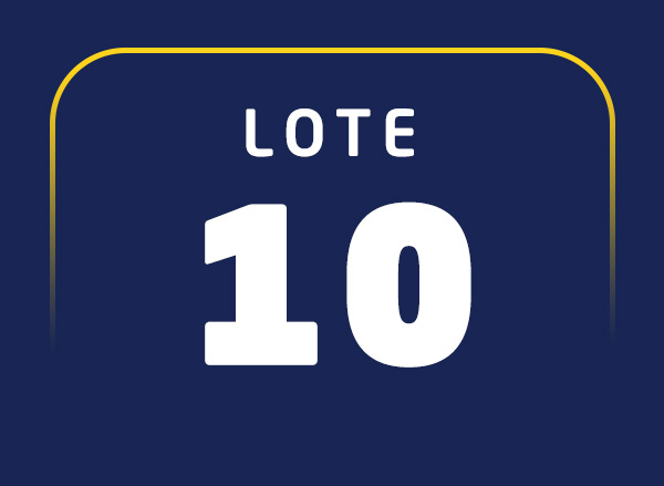 Lote 10