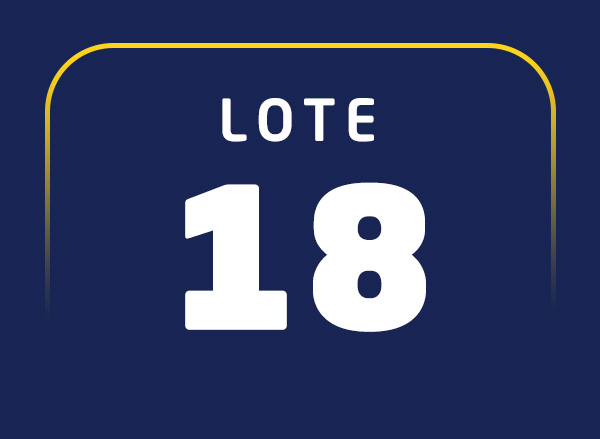 Lote 18