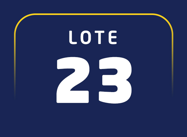 Lote 23