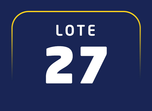 Lote 27