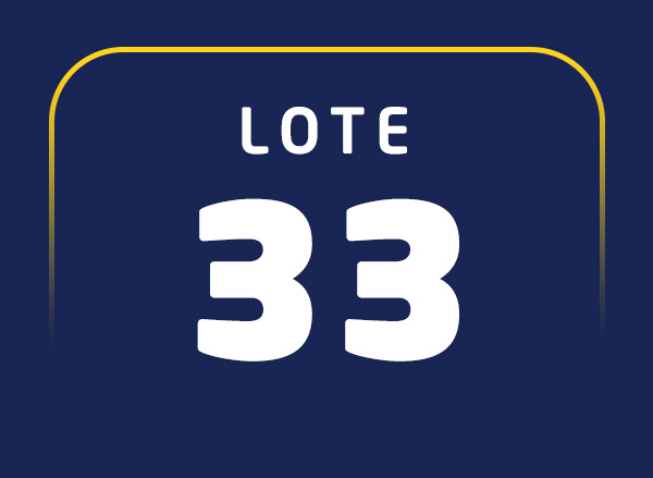 Lote 33