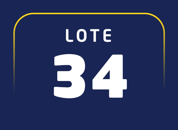 Lote 34
