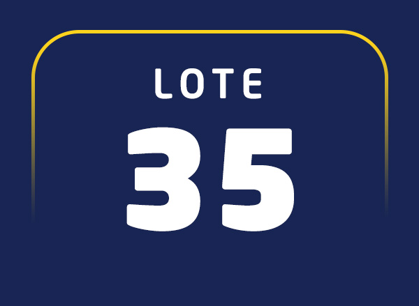 Lote 35