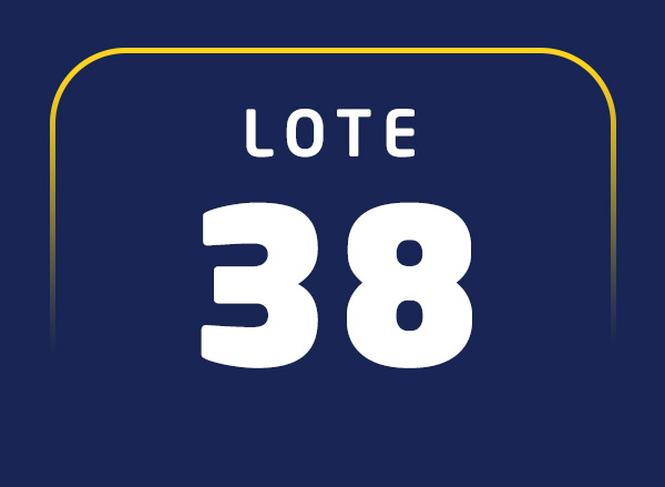 Lote 38