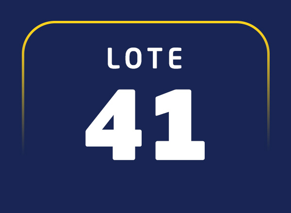 Lote 41