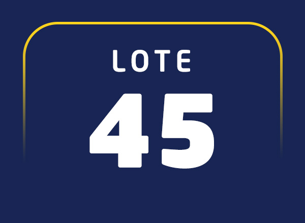 Lote 45