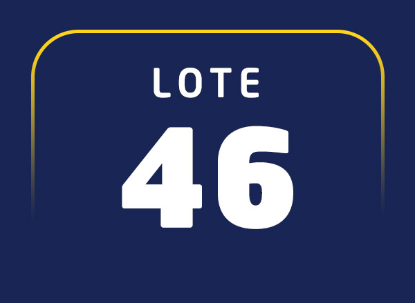 Lote 46