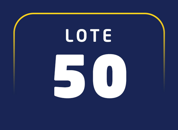 Lote 50
