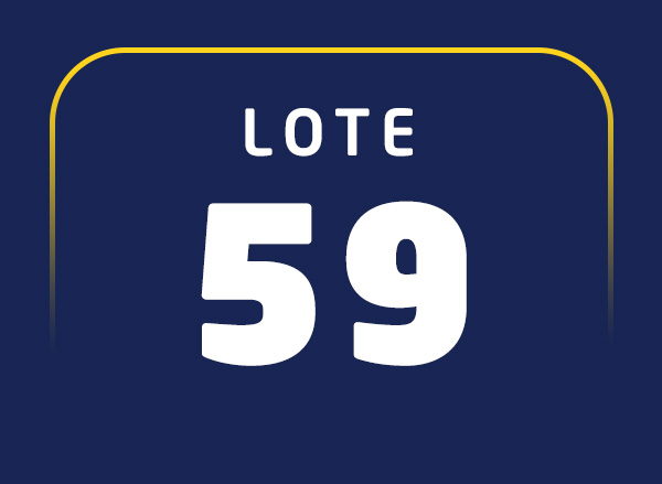 Lote 59