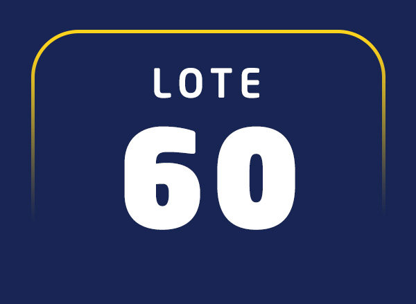 Lote 60