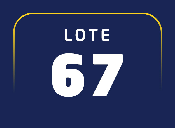 Lote 67