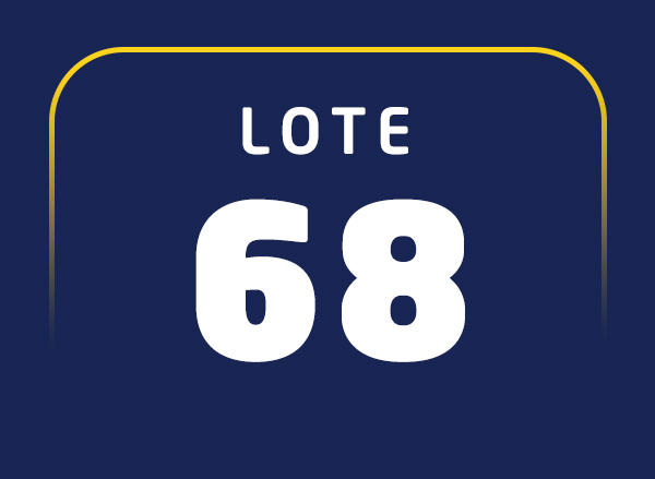 Lote 68