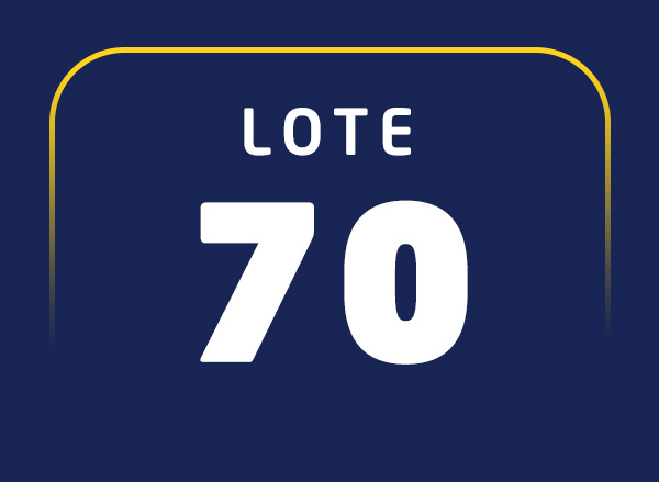 Lote 70