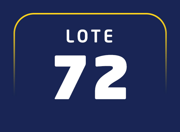 Lote 72