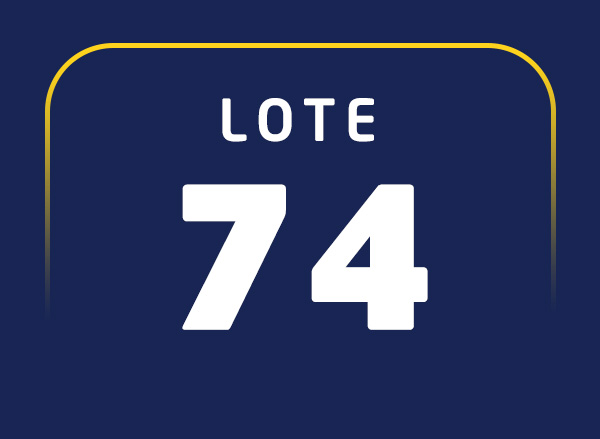 Lote 74