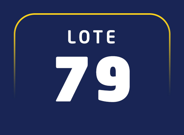 Lote 79