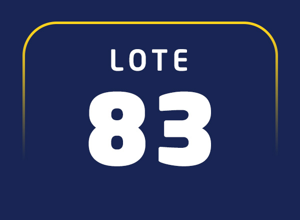 Lote 83
