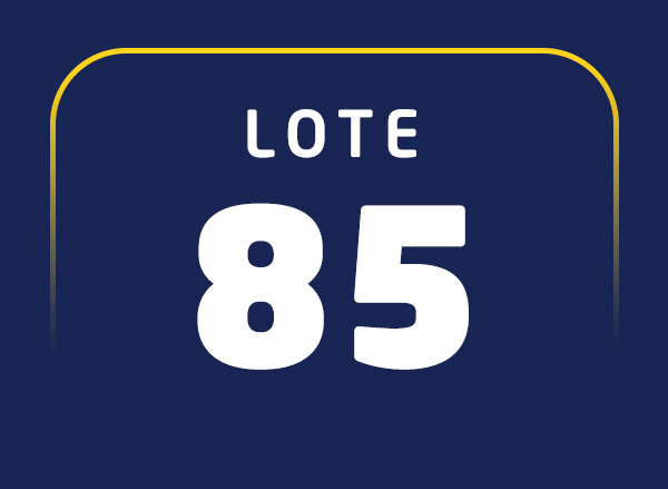 Lote 85