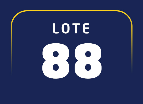 Lote 88