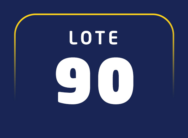 Lote 90