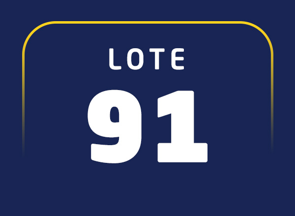Lote 91
