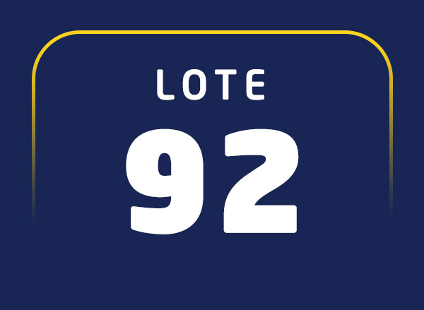 Lote 92
