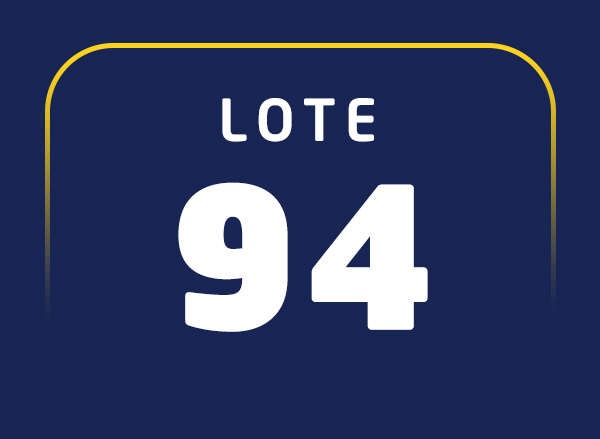 Lote 94