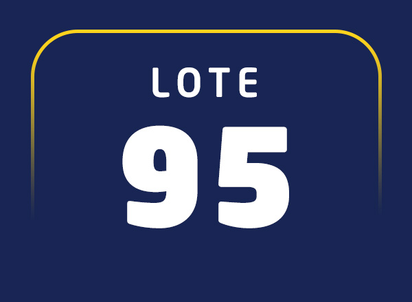 Lote 95