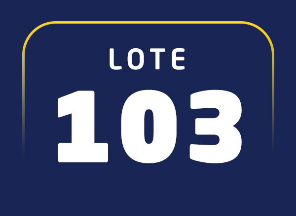 Lote 103