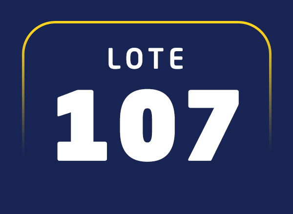 Lote 107