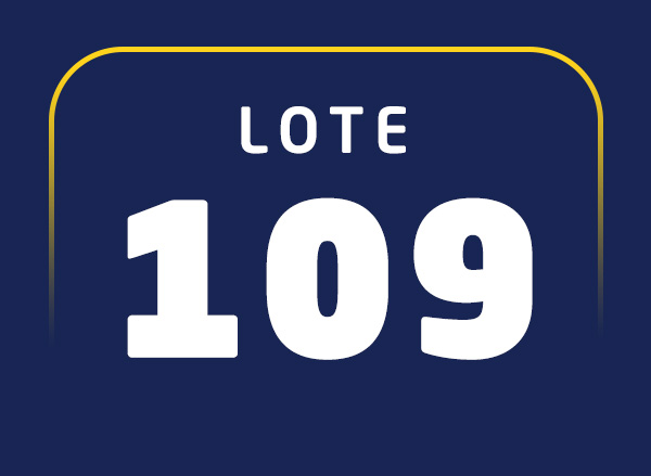 Lote 109