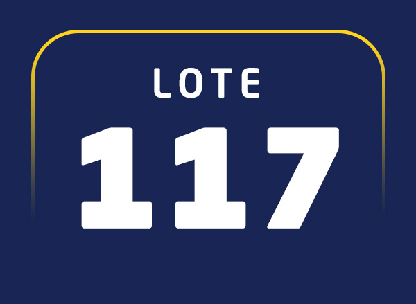 Lote 117