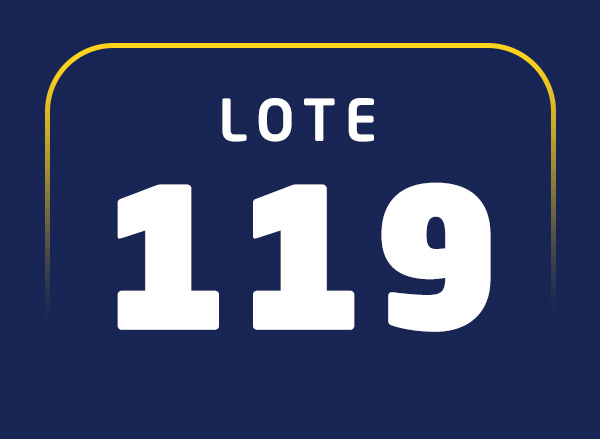 Lote 119