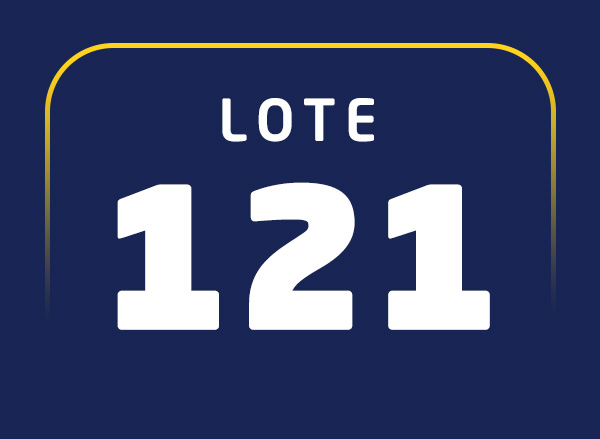 Lote 121