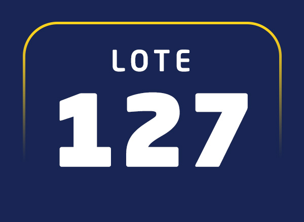 Lote 127