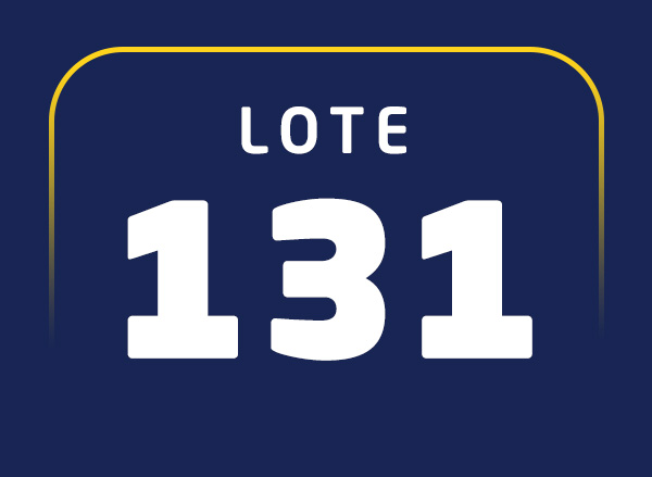 Lote 131