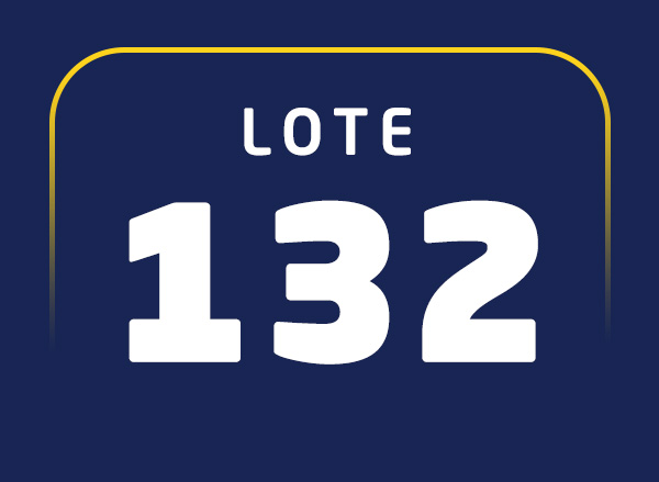 Lote 132