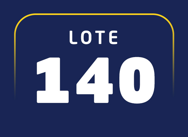 Lote 140