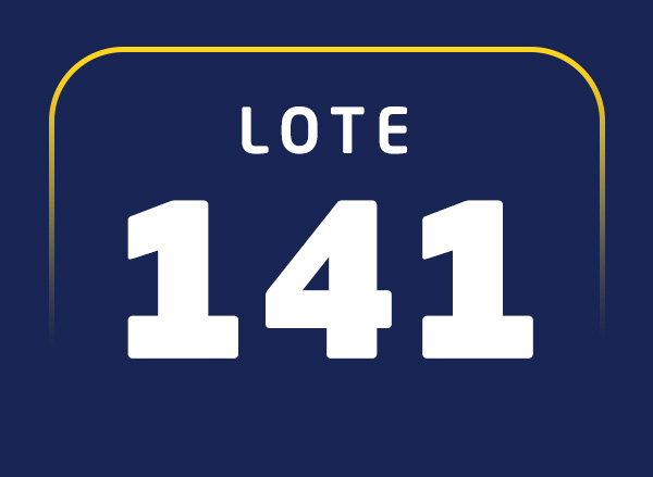 Lote 141
