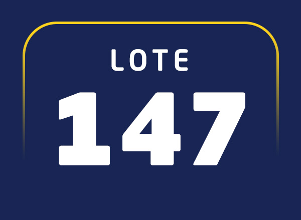 Lote 147