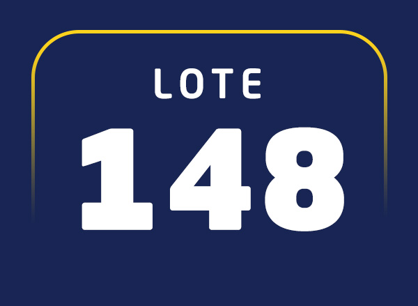 Lote 148