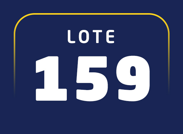 Lote 159