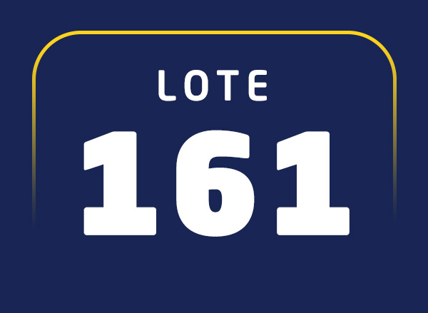 Lote 161