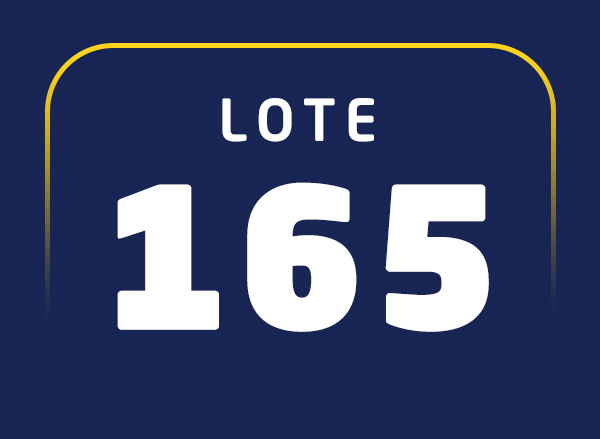 Lote 165