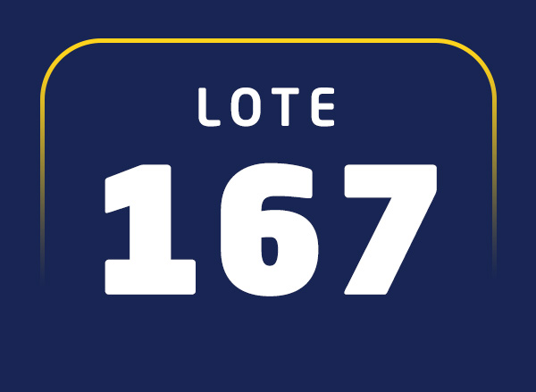 Lote 167