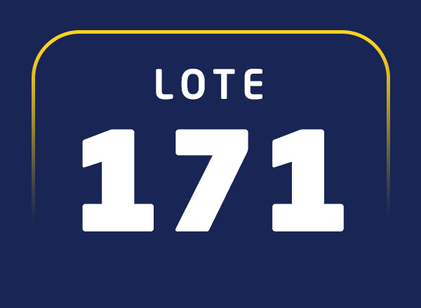 Lote 171
