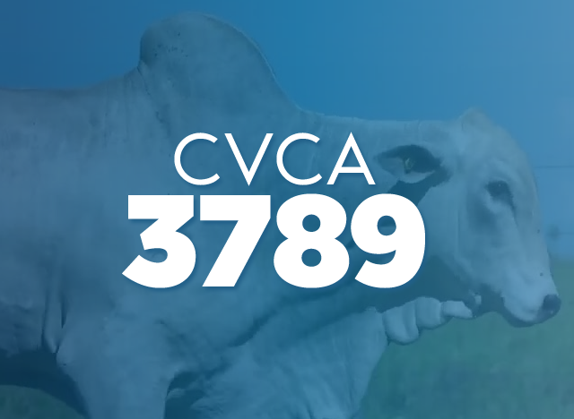 CVCA 3789