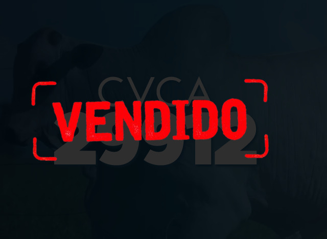 CVCV 29912